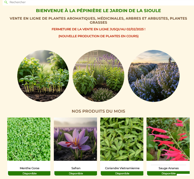 Création de sites web modernes pour particuliers et professionnels - VD Webconcept