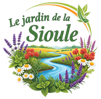 Création de sites web modernes pour particuliers et professionnels - VD Webconcept